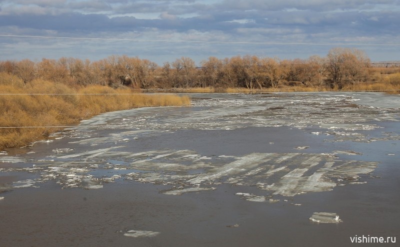 Уровень воды в реке Ишим поднялся за сутки на 68 см